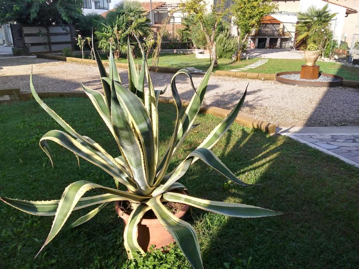 Cà Romi Villa Volta Mantovana Ngoại thất bức ảnh